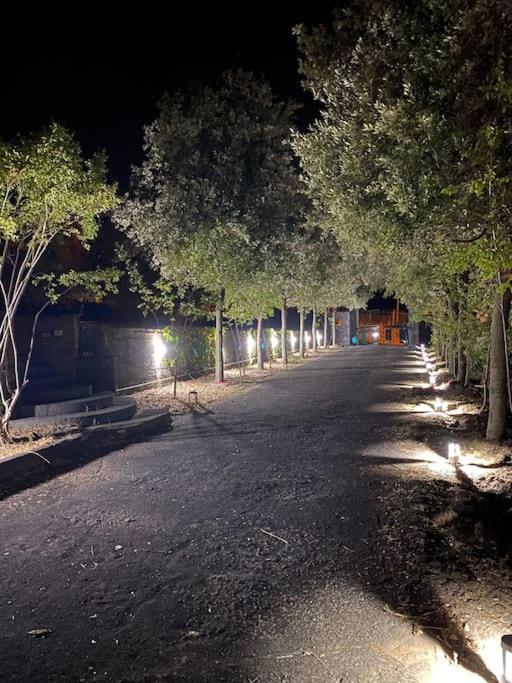 Villa Caterina, Alle Pendici Del Vulcano Etna Viagrande Extérieur photo