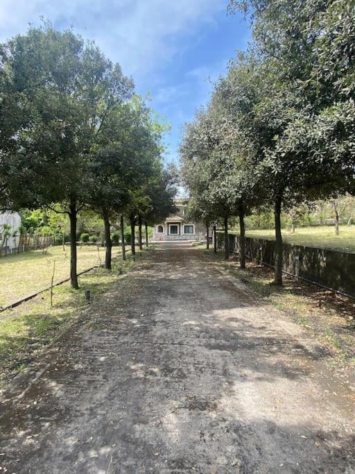 Villa Caterina, Alle Pendici Del Vulcano Etna Viagrande Extérieur photo